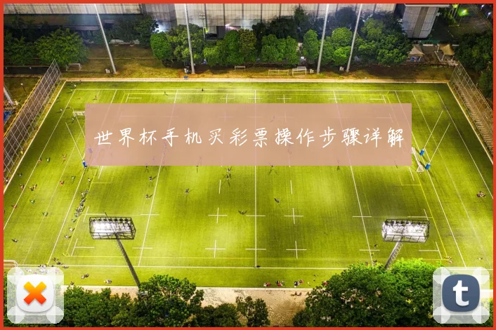 世界杯手机买彩票操作步骤详解