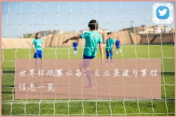 世界杯观赛必备：合法渠道与赛程信息一览