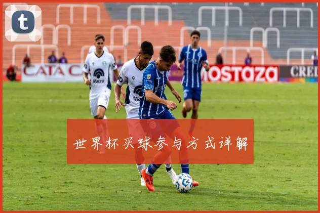 世界杯买球参与方式详解