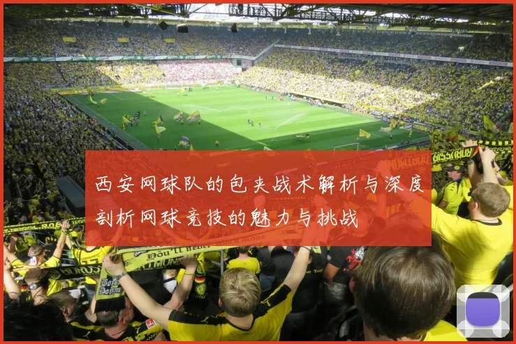 西安网球队的包夹战术解析与深度剖析网球竞技的魅力与挑战