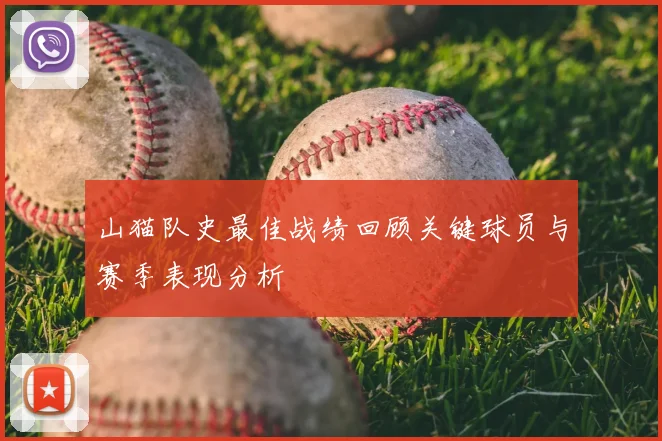 山猫队史最佳战绩回顾关键球员与赛季表现分析