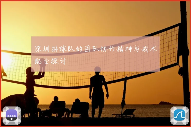 深圳排球队的团队协作精神与战术配合探讨