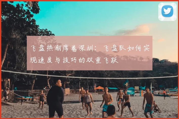 飞盘热潮席卷深圳：飞盘队如何实现速度与技巧的双重飞跃