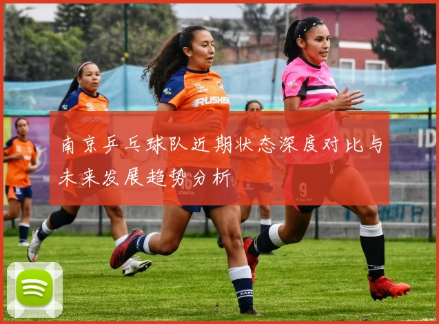 南京乒乓球队近期状态深度对比与未来发展趋势分析