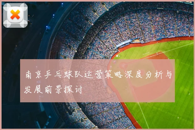 南京乒乓球队运营策略深度分析与发展前景探讨