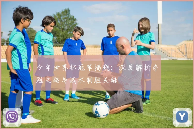 今年世界杯冠军揭晓：深度解析夺冠之路与战术制胜关键