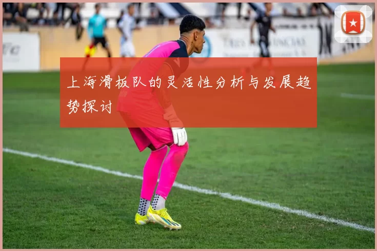 上海滑板队的灵活性分析与发展趋势探讨