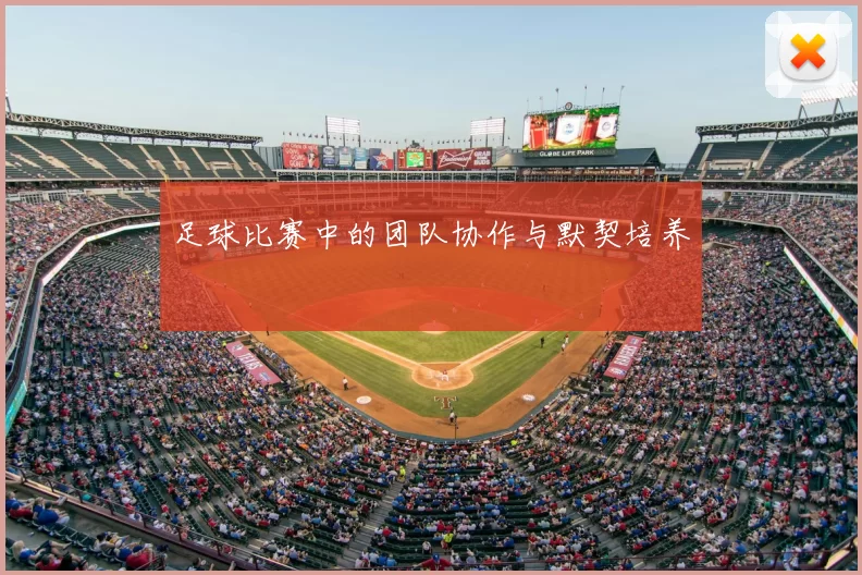 足球比赛中的团队协作与默契培养