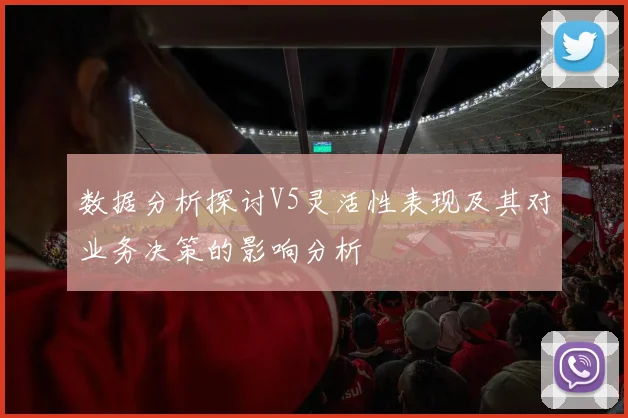 数据分析探讨V5灵活性表现及其对业务决策的影响分析