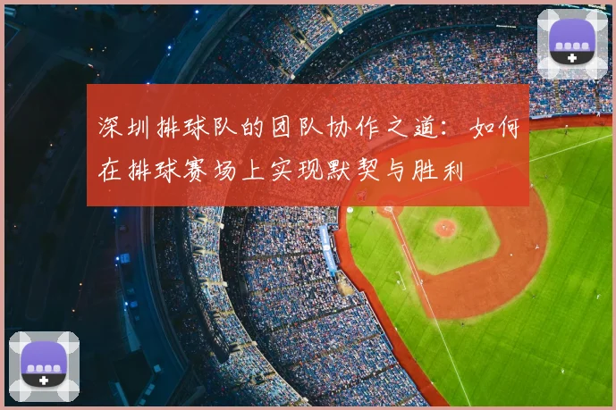 深圳排球队的团队协作之道：如何在排球赛场上实现默契与胜利