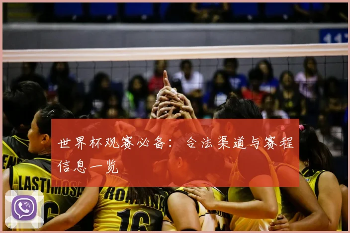 世界杯观赛必备:合法渠道与赛程信息一览