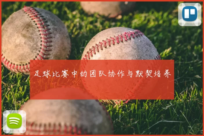 足球比赛中的团队协作与默契培养
