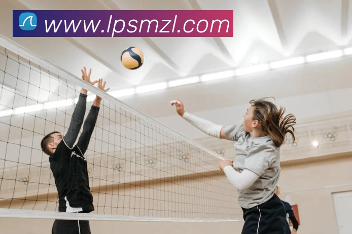 App Interface Preview